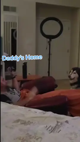 Her favorite part of the day is when her person comes home. #maggiemalamute #rescuedogs #malamute #dogoftheday #viraldogs 