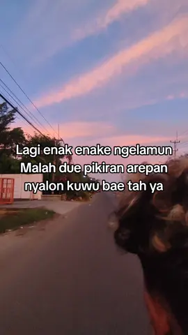 #katakataindramayu #tarling_indramayu_cirebon #amperapoesat #foryoupage #fyp 