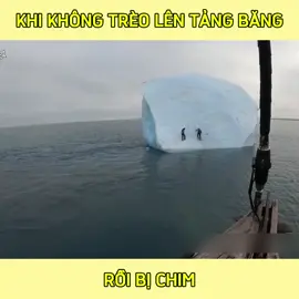 Khi không trèo lên tảng băng rồi bị chìm  #thinhhanh #xuhuongtiktok #xuhuong #trend #tiktokviral #viraltiktok #viralvideo #trending #tiktok #viral 