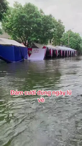#nhatquangdogiadung#đamcuoi#mualu