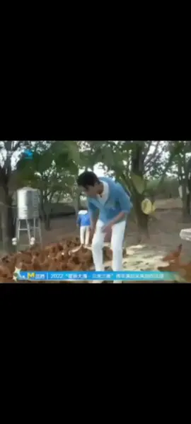 Đó vậy không đó!🤣 #vuonghacde #wanghedi #dylanwang #王鹤棣 #huynhdehoacuavuonghacde 