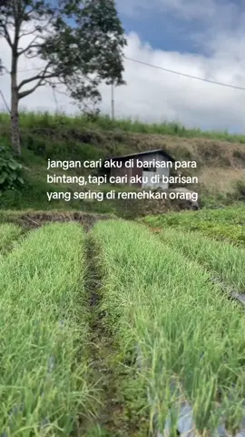 #fyp #petanibawang #bawangmerah #petanimilenial #petaniindonesia🇮🇩🇮🇩🇮🇩🌿🌿 