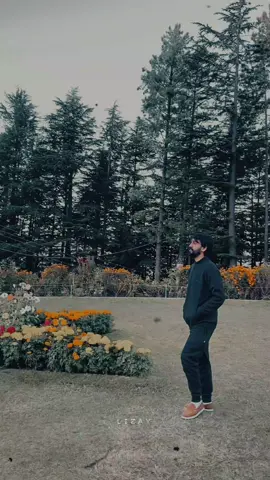 No expectations, no disappointments. 😊 #shogran  #Naturelove  #selflove #hurtmyfeelings  #unfrezzmyaccount 