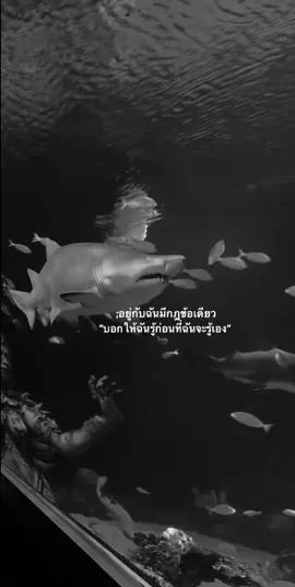 #fyp #สตอรี่_ความรู้สึก😔🖤🥀 #ฟิต #เปิดการมองเห็นด้วยเถอะ #