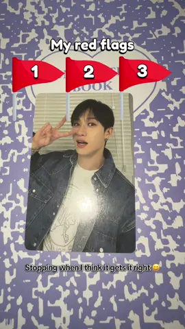 Seen this a few times || Just for fun!! #straykids #skz #redflags #filter #fyp 