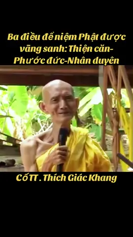 Nam Mô A Di Đà Phật (82)