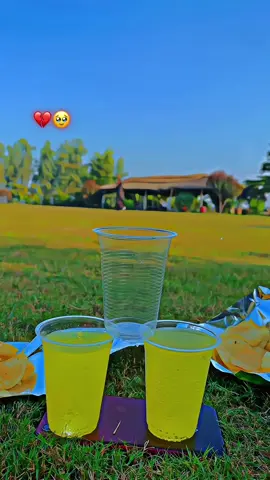 Yo Sary Pa se Besora Yem 😭💔🥹🥀 #foryou #viralvideo #dontunderreviewmyvideo #foryoupage #mr_faixaly 