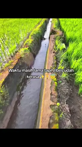 ✨🕌😇#fyp #vibesramadhan #ramadhan2026🕌☪️ #bismillahfyp #suasanaramadhan 