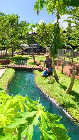 Relaxing #ความสุข #Lifestyle #ผงปรับสภาพน้ําใส #garden #เกษตรพอเพียง 