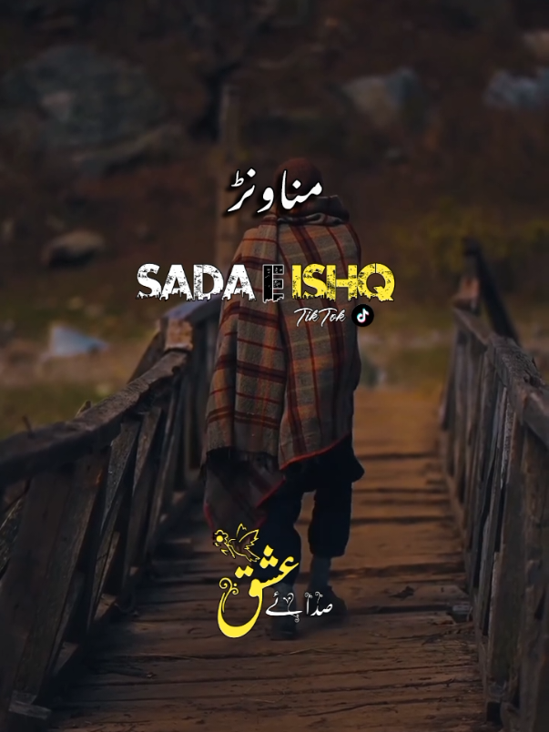 #foryou #foryoupage #foryouofficial #sarkipoetry #dontunderreviewmyvideo 