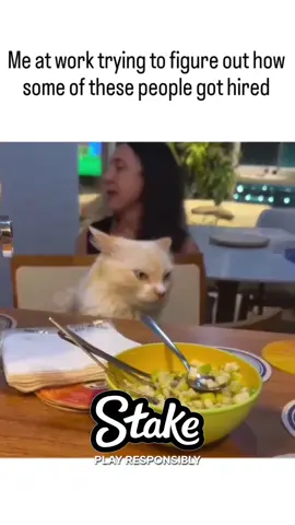 #cat #viral 