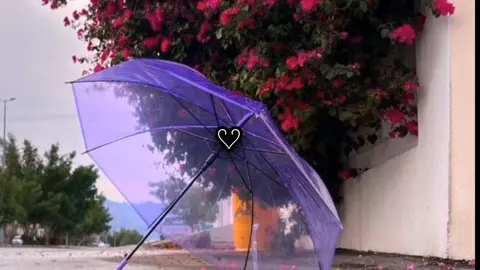 #اكسبلورexplore❥🕊🦋💚❤ #الفخامه_هنا🔥 #تصميم_فيديوهات🎶🎤🎬 #تصميمي❤️ #