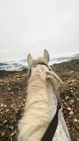 Yollar bizi ayrı saldı 🥀 #kəşfet 