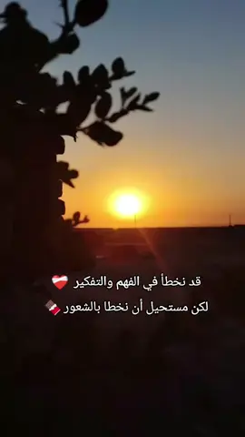 كل مايشعر به قلبك صحيح،، فانصتوا لقوبكم💞✨#كربلاء #رسائل #🤍🤍🤍 