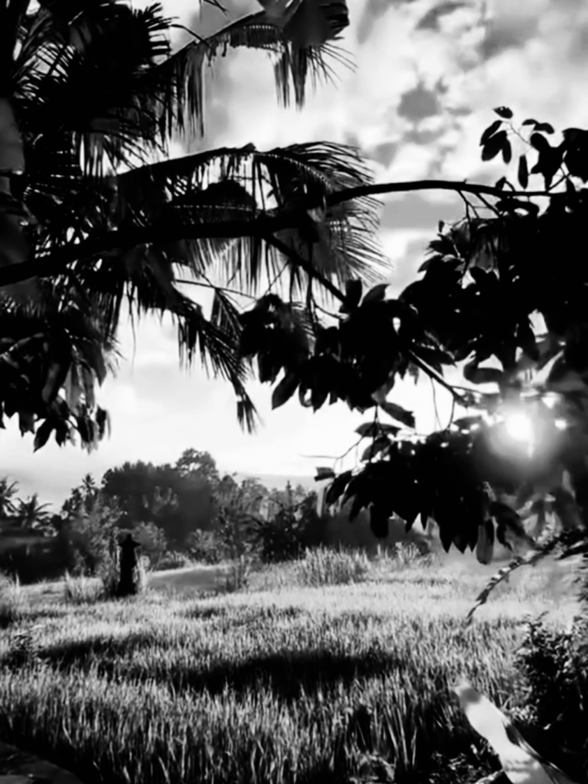 #تصاميم_شاشه_سوداء  #شعراء_وذواقين_الشعر_الشعبي🎸 #فديوهات_شاشه_سوداء 