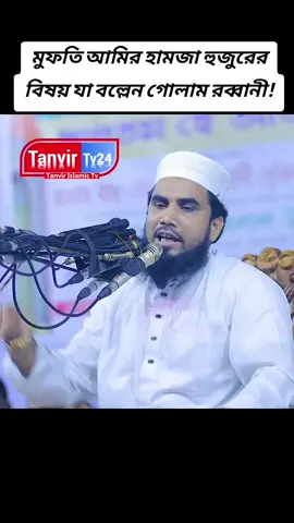 মুফতি আমির হামজা হুজুরের বিষয় যা বল্লেন গোলাম রব্বানী#foryou#waz#foryoupage#fyp 