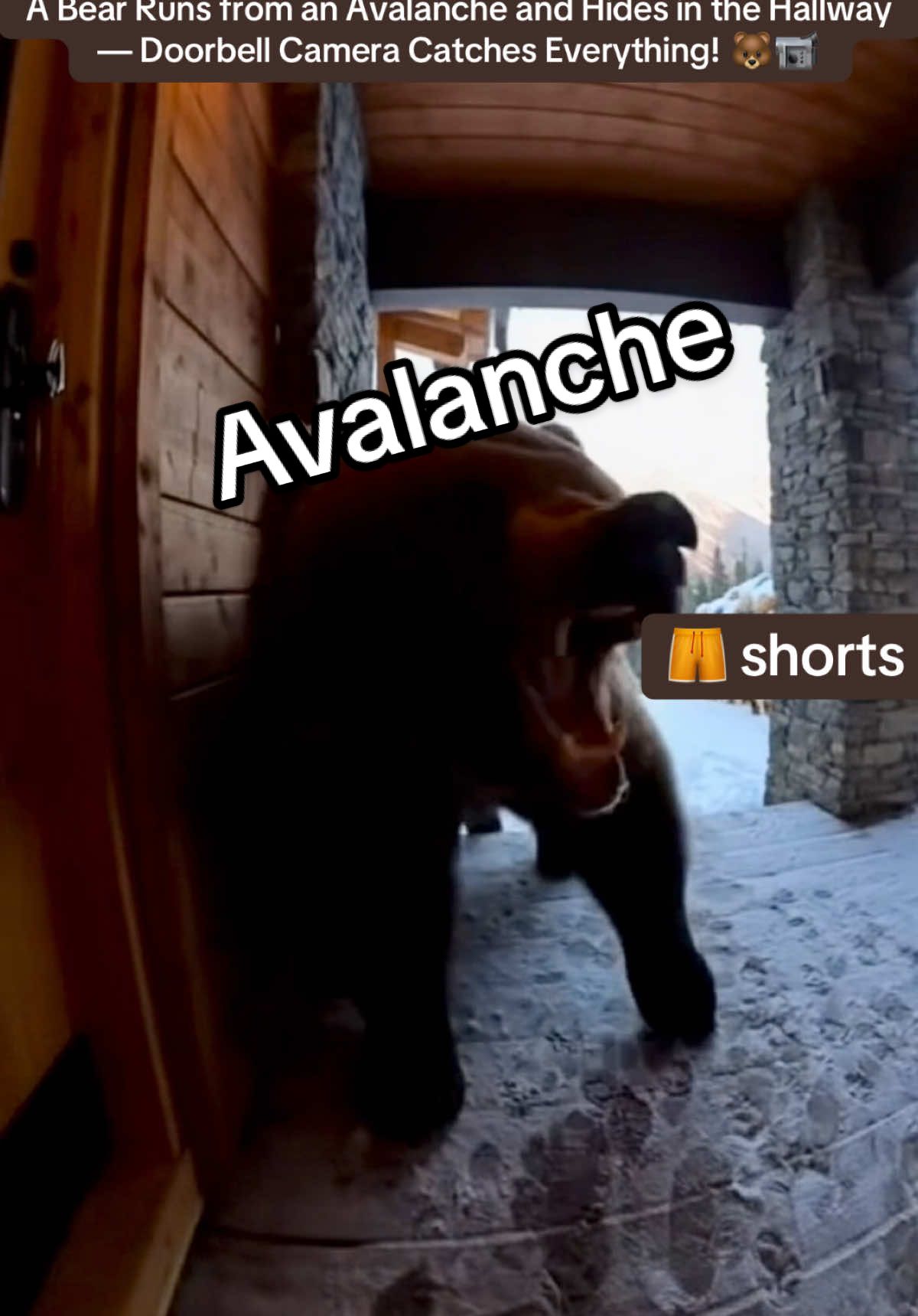 Bear Escapes Avalanche — Finds Shelter at Someone’s Door! ❄️🐾 A wild bear escapes a roaring avalanche and rushes into a hallway to hide — all captured on a doorbell camera! 🐻❄️ Watch this unbelievable moment of nature’s instinct and survival caught on film. Disclaimer: This video was created using Sora AI for storytelling purposes. Any resemblance to real events or animals is coincidental. Viewer discretion is advised.  #foryoupage #CaughtOnCamera #shorts #tiktok #ScaryMoment 