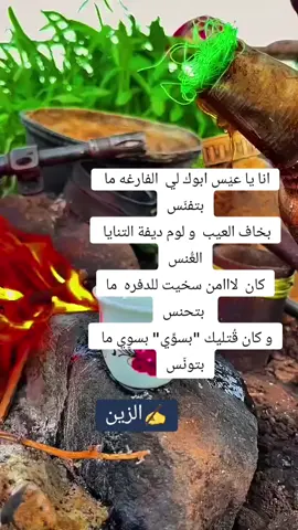 #حلفاالجديدة❤🇸🇩 #السيرات_والسرعه_قصة_عشق #البطانه_جمال_الباديه_والريف #السودان_مشاهير_تيك_توك #زغاريد_وطن_وفرحة_انتصار❤️ #خشم_القربة_منطقة_الرميلة #حلفاء_الجديده_البطانه💪 #قوات_درع_السودان #القوات_المسلحة_السودانية🦅🇸🇩🦅 