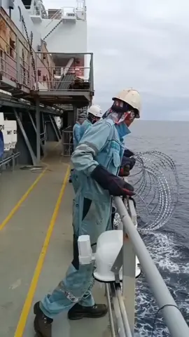 Why Giant Ships Have Barbed Wire on Their Railings #amazing #facts #Ship #tik_tok 