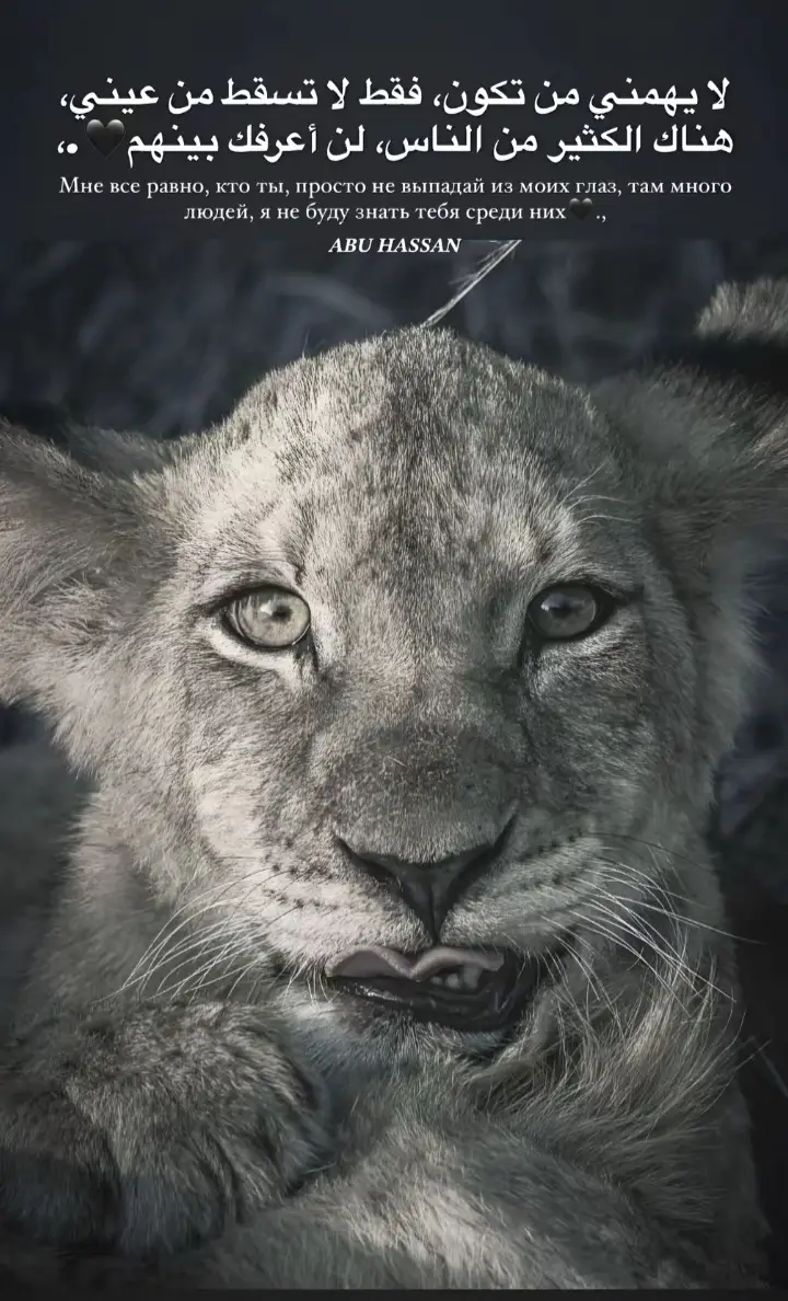 #ليك_متابعه_فولو_اكسبلور_دعم_تيك_توك #التميمي #بنغازي_طرابلس_ترهونه_رجمة_سرت_طبرق 