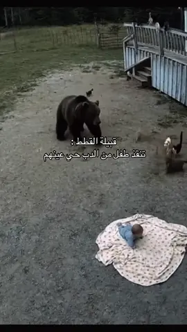 قربنا على مليون ضيفوني🥷