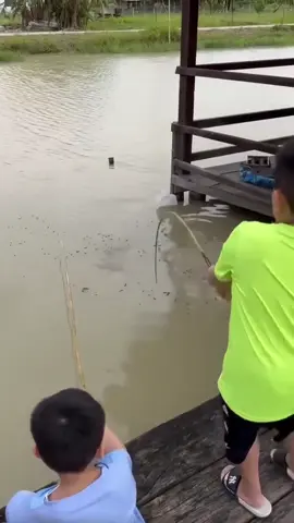 😂😂😂#caulure #tapdicau #fishing #caucavietnam #caulurevietnam 