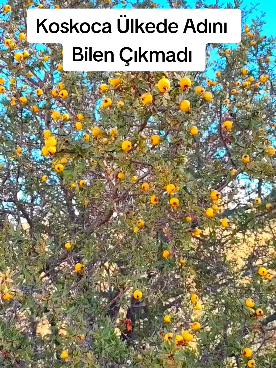 #yozgat #sivas #tokat #kayseri #çorum 