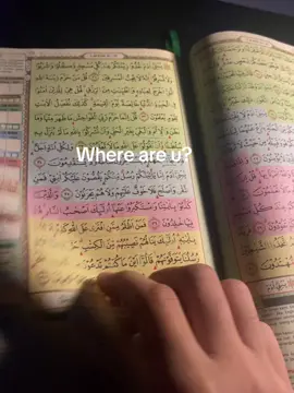 #murajaah #quran 