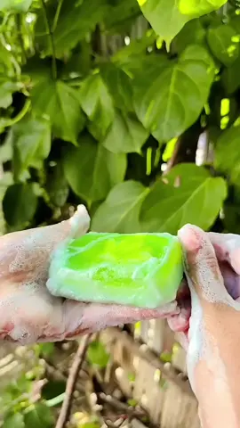 #yul2 #tiktokmyanmar #fbyツ #ကျောက်ချဉ်ဆပ်ပြာ 