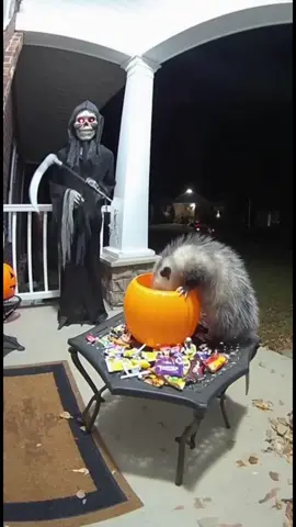 #100k #sora #fyp #trending #tiktok 