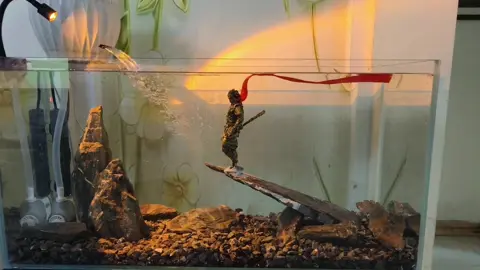 Layuot này được không ạ. Sẵn tượng ngộ không nhé các bác..#thuỷsinh #biotop #tuongngokhong #wukong 