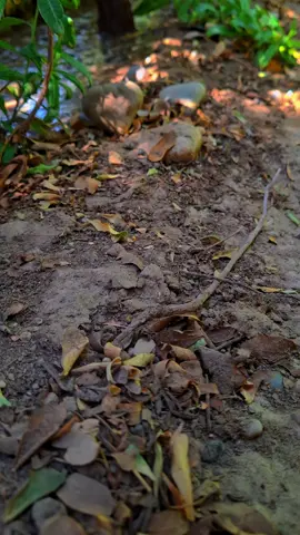 #العراق_السعوديه_الاردن_الخليج #اعادة_النشر #حزينه_جدا🥱💔 #مواويل_عراقية_حزينه💔 #فضلا_وليس_امرا_وشكرا_للجميع___🙂💚 