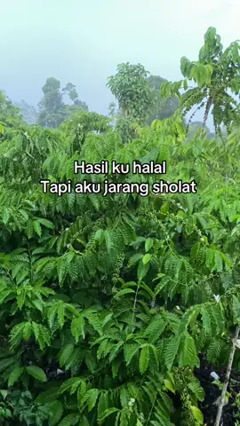 🥹#fyp #petanimuda #masukberandafyp 