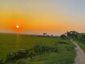 তোমার বাবার চোঁখ বন্ধ হলে না বুঝবা দুনিয়া কাকে বলে 🥲❤️‍🩹#foryoupage #fyppppppppppppppppppppppp #viraltiktok #viralvideo #fypシ゚ 