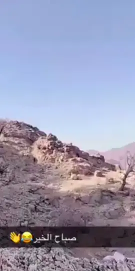 #صباح_الخير #كيف_الحال💕  #صباحكم_أحلى_صباح🌹🌹  #مصحصحين_أحسنتم😂😂 #اكسبلورexplore 