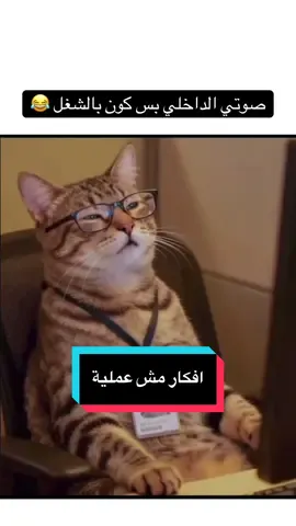 يوما ما ستندمون 🤣 #documentary_aldaheka #nationalgeographic #alaaghannam #voiceover 