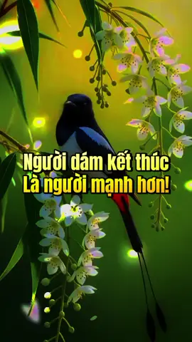 người dám kết thúc là người mạnh hơn.  #xuhuongtiktok #caunoihay #trietlycuocsong #TikTokAwardsVN 