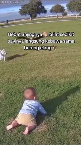 #fyp #fyppppppppppppppppppppppp 