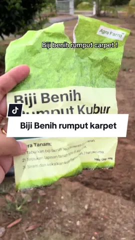 #benihrumput#rumputcarpet#rumputkarpet#bijibenihrumputkubur  