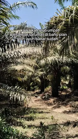 Uyuh banar sudah 😮‍💨#kalimantanselatan #quotes #fyp #masukberanda #tiktok 