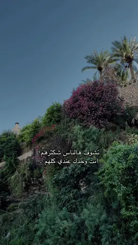 #creatorsearchinsights #ستوريات #حب #حديثه_عذراء_الانبار 