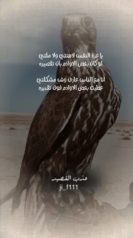 #عذب_القصيد #viralvideo #قصائد_شعر_خواطر #f #الشعب_الصيني_ماله_حل😂😂 