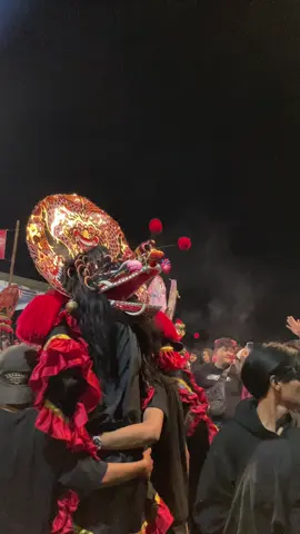 #fyp #jaranan #singobarong 