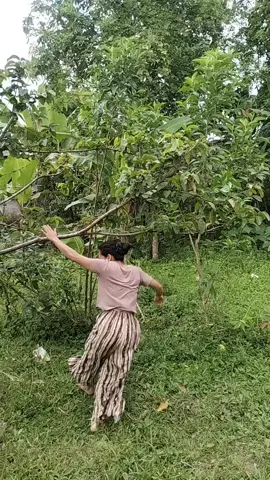apakah pohon nya akan patah atau gak bisa bangun lagi ,,tonton sampai Ahir 