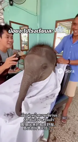 #fypシ゚ #คลิปตลก #sora2 #ร้านตัดผมชาย #ช้างน้อย 