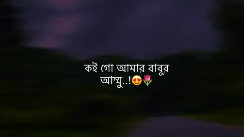কই গো আমার বাবুর আম্মু..!😍🌷#fyp #foryou #foryoupage #jahid_bhaiya_500k 