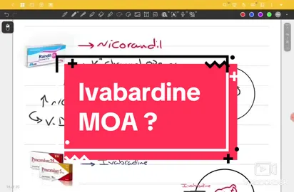 ال Procoralan بيشتغل ازاي ؟  #fyp #cardiology #pharmacology #صيدلة #ivabradine 