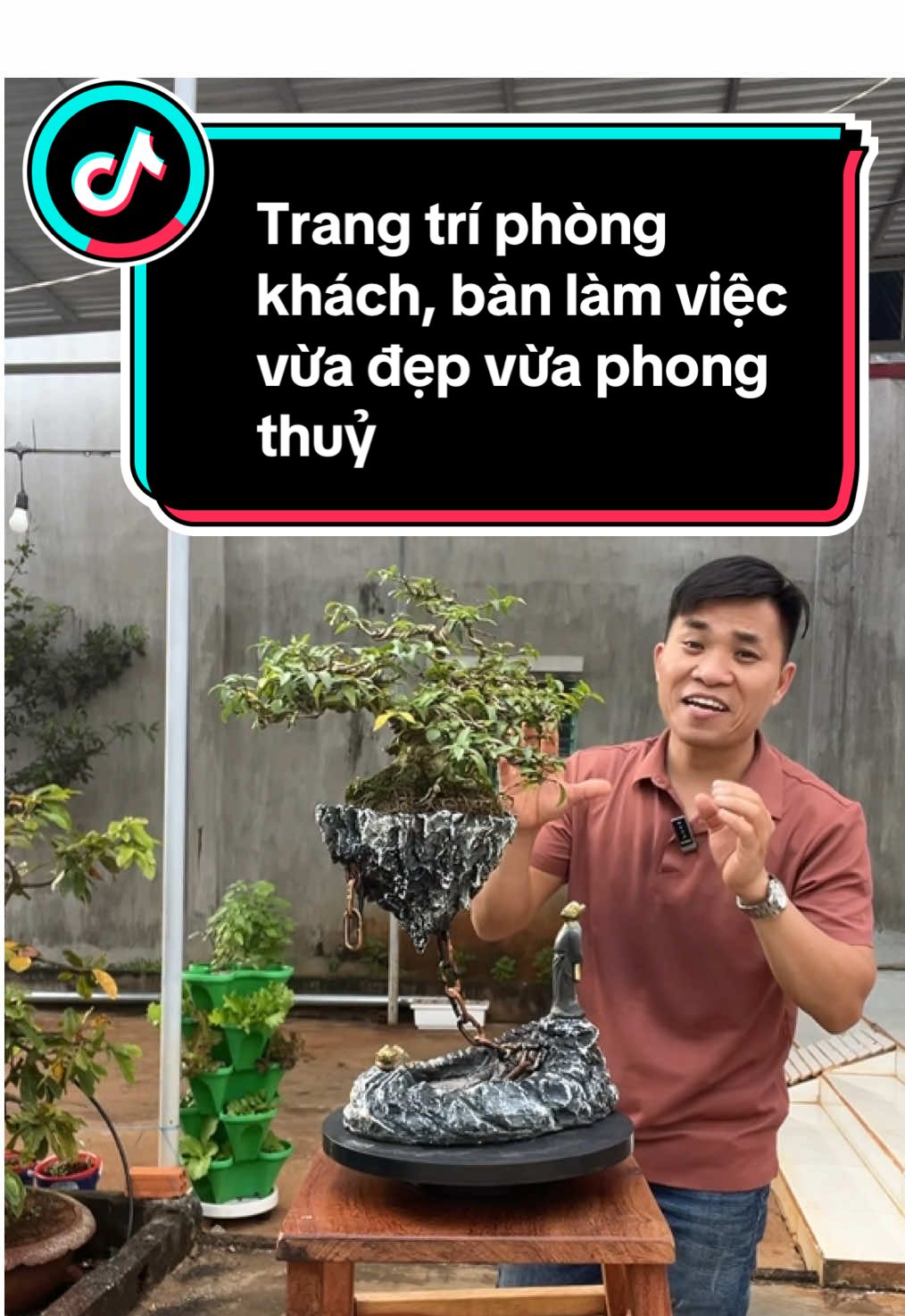 Ai mê trồng cây thích độc lạ thì ko thể bỏ qua #ongbonongdanreview #chaudaobay #chaubonsai #chautrongbonsai 