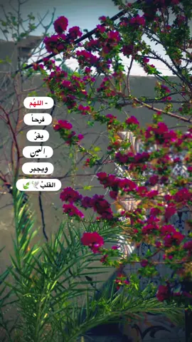 #جزء 358 |#تصويري_احترافي_الاجواء👌🏻🕊 #عباراتكم_الفخمه📿📌 #لايك_متابعه_اكسبلور_لو_عجبكم #قناتي_تليجرام_بالبايو💕🦋 