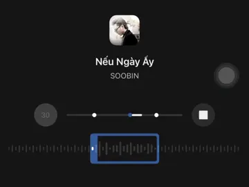 nếu ngày ấy anh ngỏ lời thương và yêu đến em.. #wseal #nhachaymoingay #fyp #nhacnaychillphet 